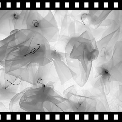 Among-Flowers-in-Bloom-Julie-Rothschild-Belgin-Yucelen-2